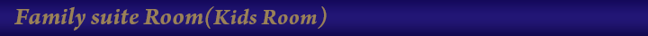 familysuiteroom(kids)